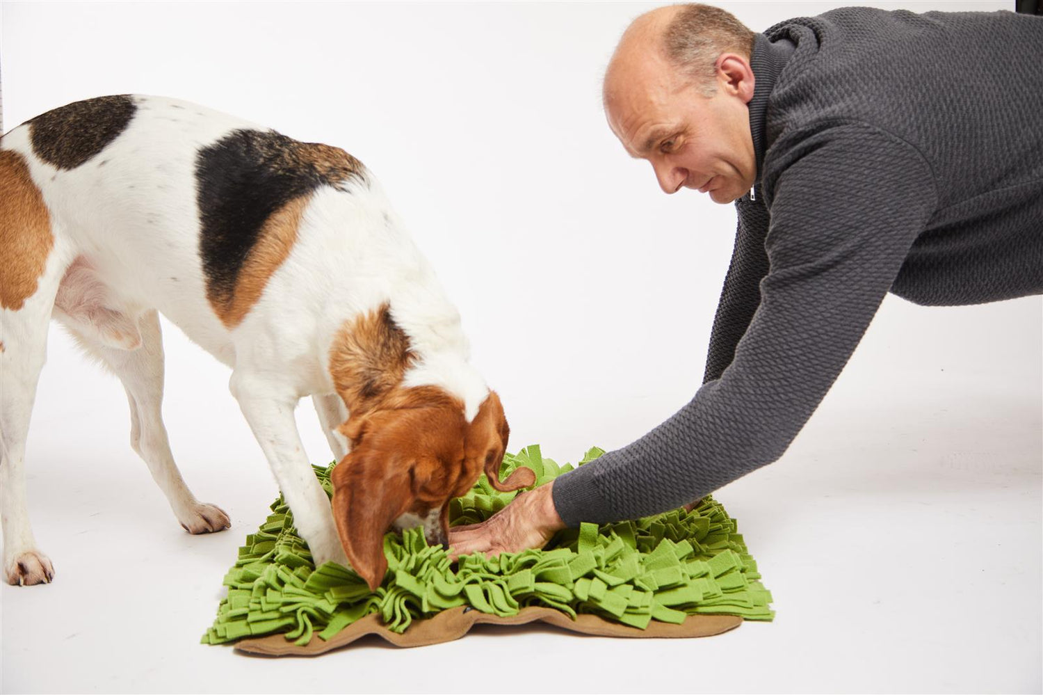 Mental fit: Warum geistige Auslastung für Hunde genauso wichtig ist wie Bewegung