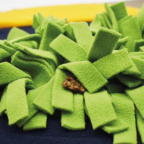 Weich zur Nase, stark im Alltag – warum Knauder’s Best auf Öko-Tex-Polarfleece setzt