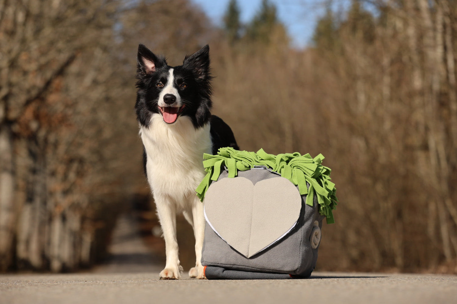 Sniffbox 2.0 Soft – wenn Spielspaß auf Nachhaltigkeit trifft