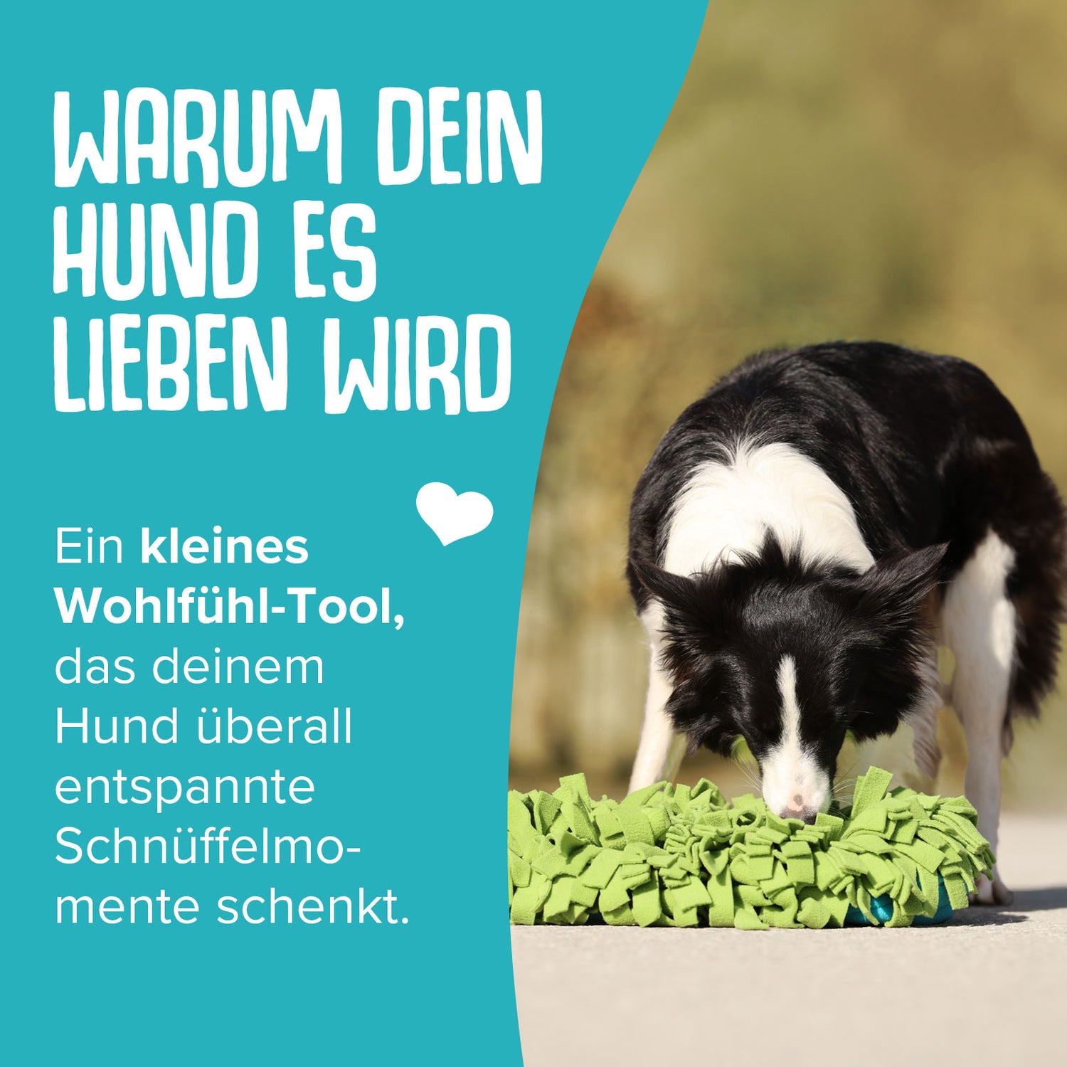 Schnüffelei