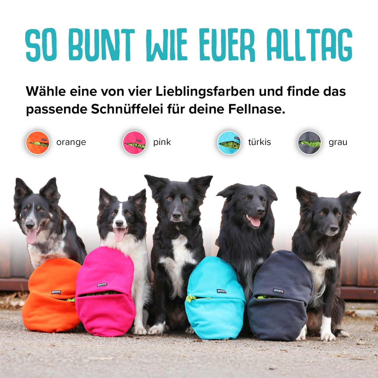 Schnüffelei