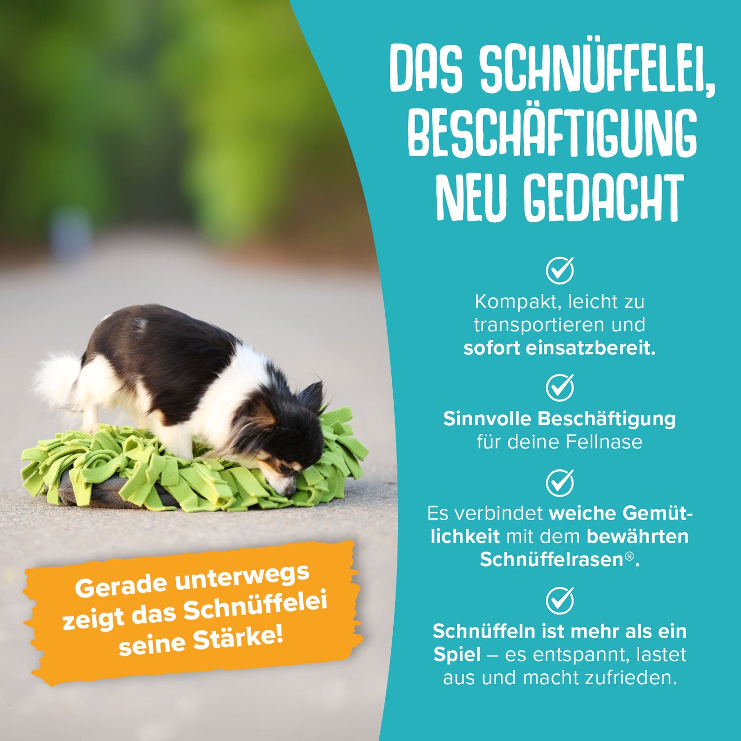 Schnüffelei