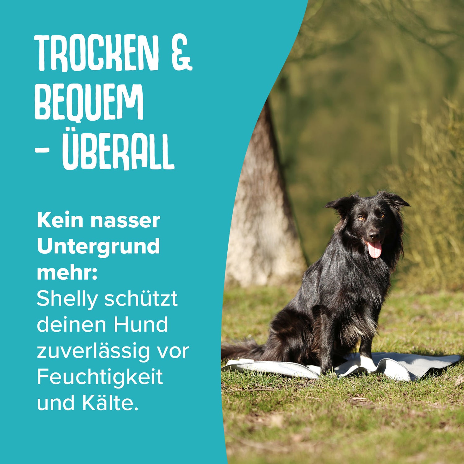 Shelly – Dein Softshell-Liegepad für unterwegs
