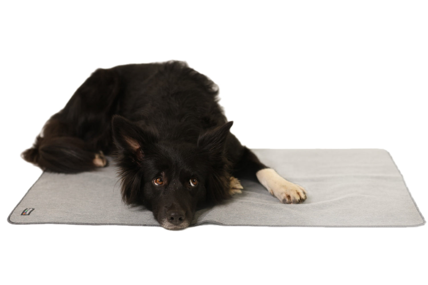 Shelly – Dein Softshell-Liegepad für unterwegs