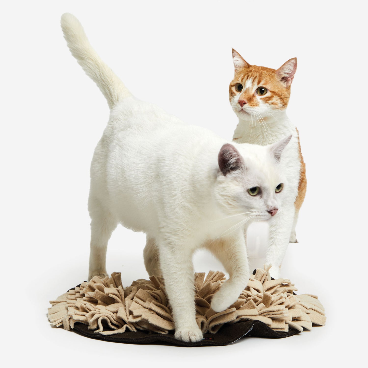 SCHNÜFFELRASEN® für die Katze - braun/grau