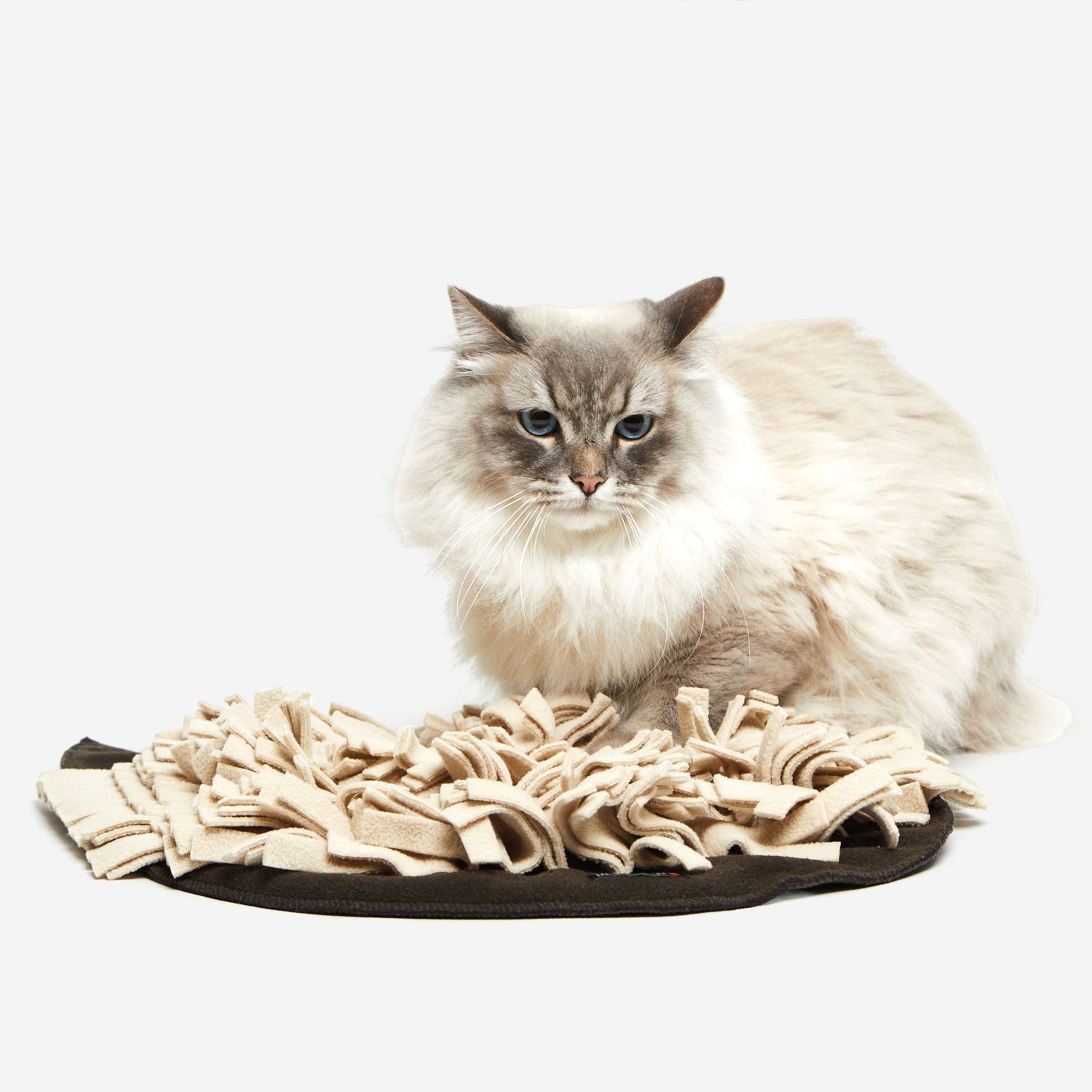 SCHNÜFFELRASEN® für die Katze - braun/grau