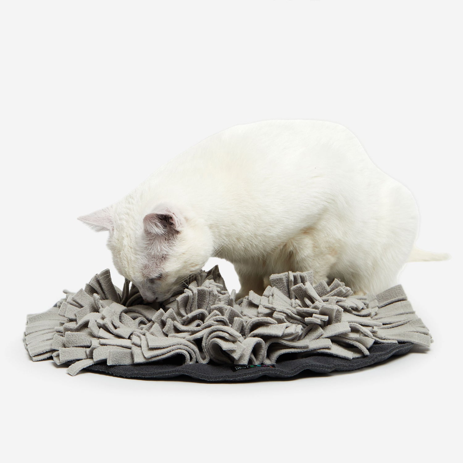 SCHNÜFFELRASEN® für die Katze - braun/grau