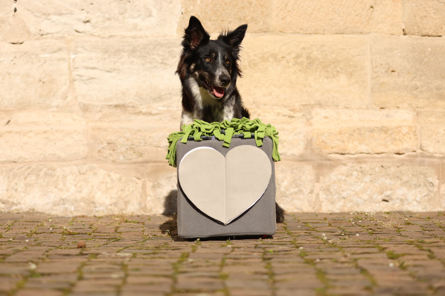 Oster Aktion - Spare 20% auf deine Bestellung