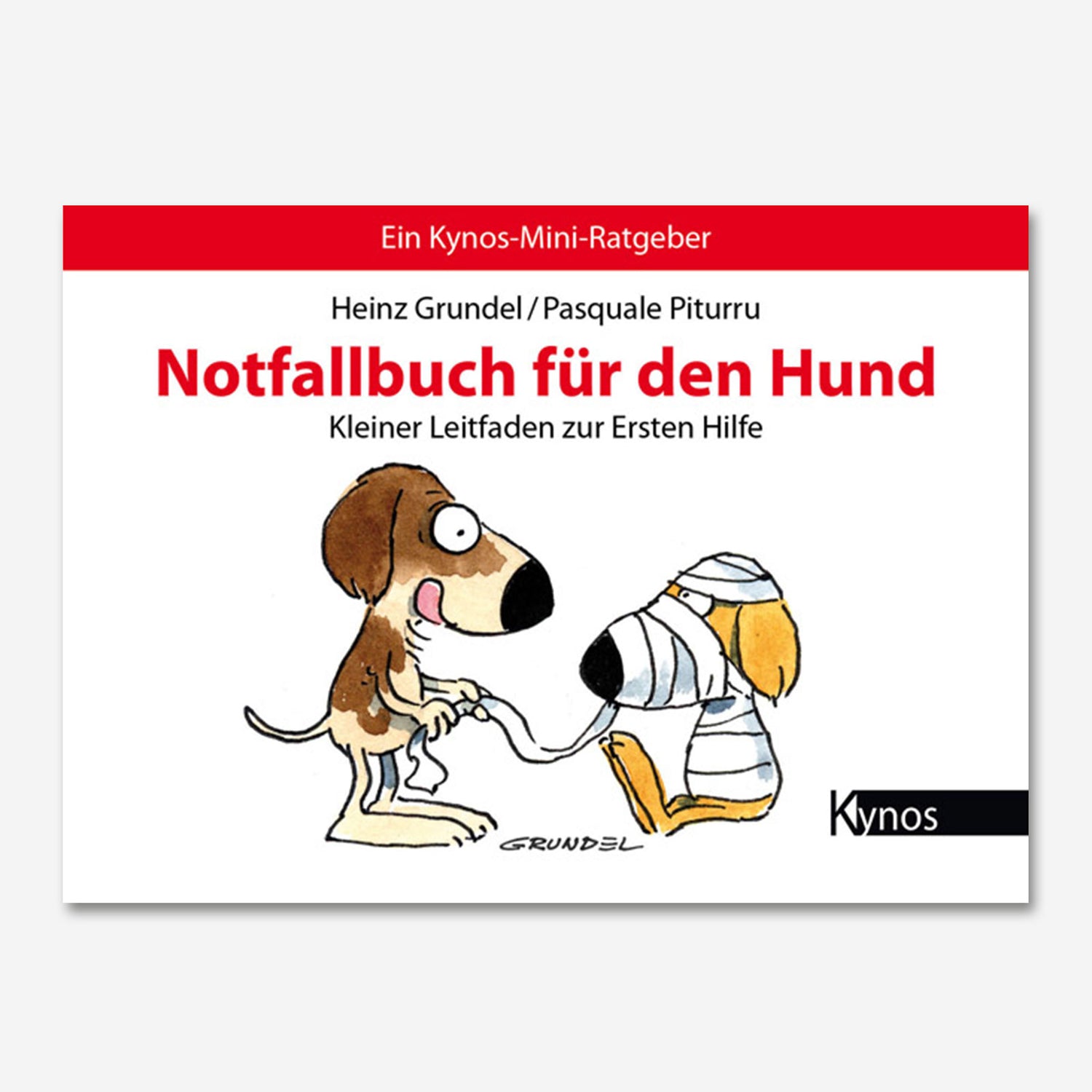 Notfallbuch für den Hund