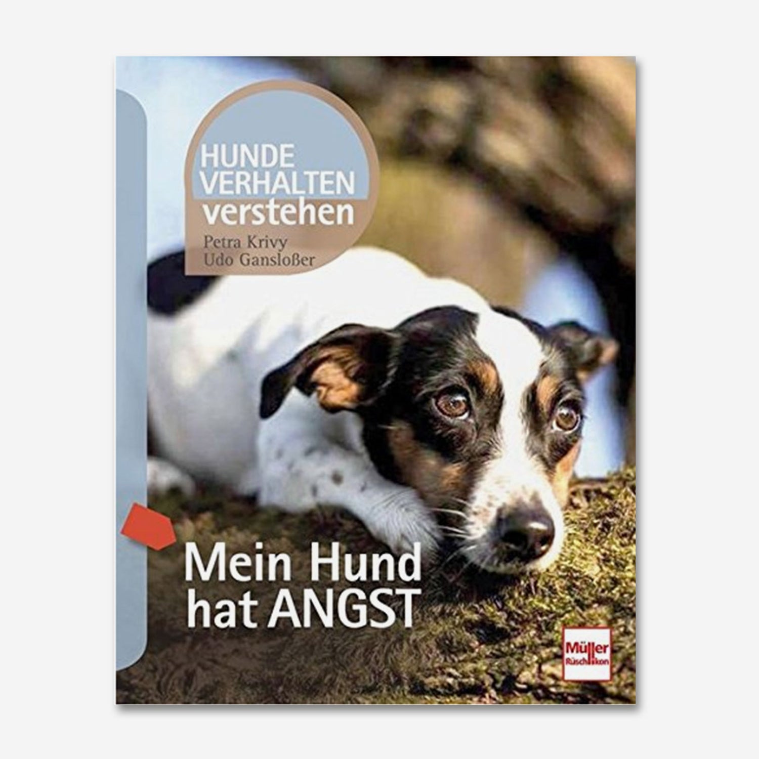 Mein Hund hat Angst - Hundeverhalten verstehen