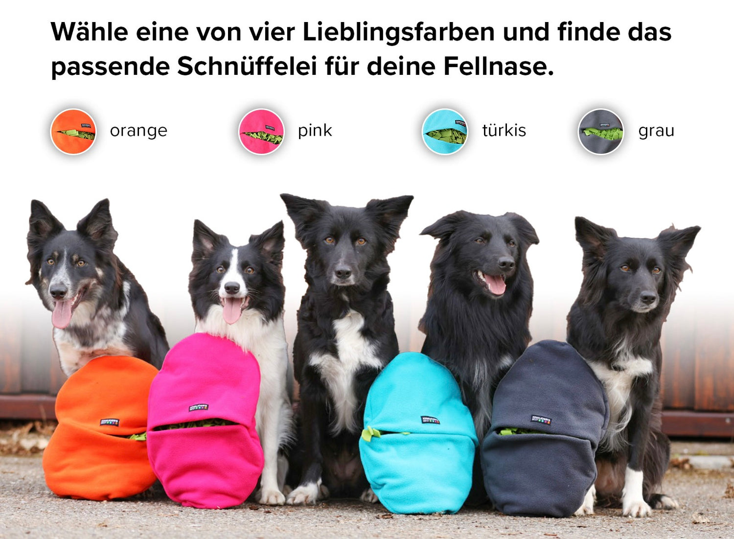 XL Schnüffelei