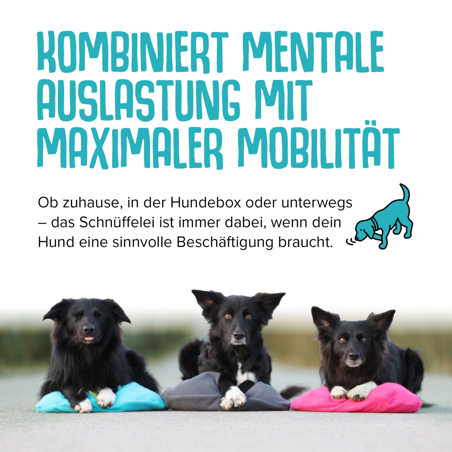 Schnüffelei