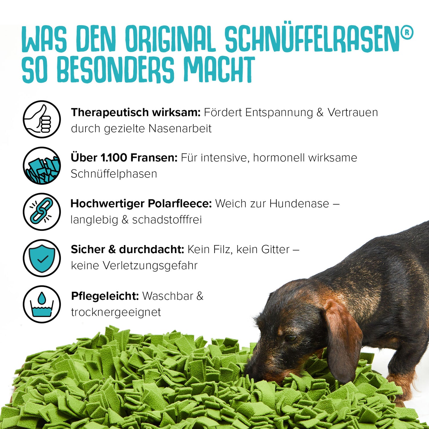 SCHNÜFFELRASEN®