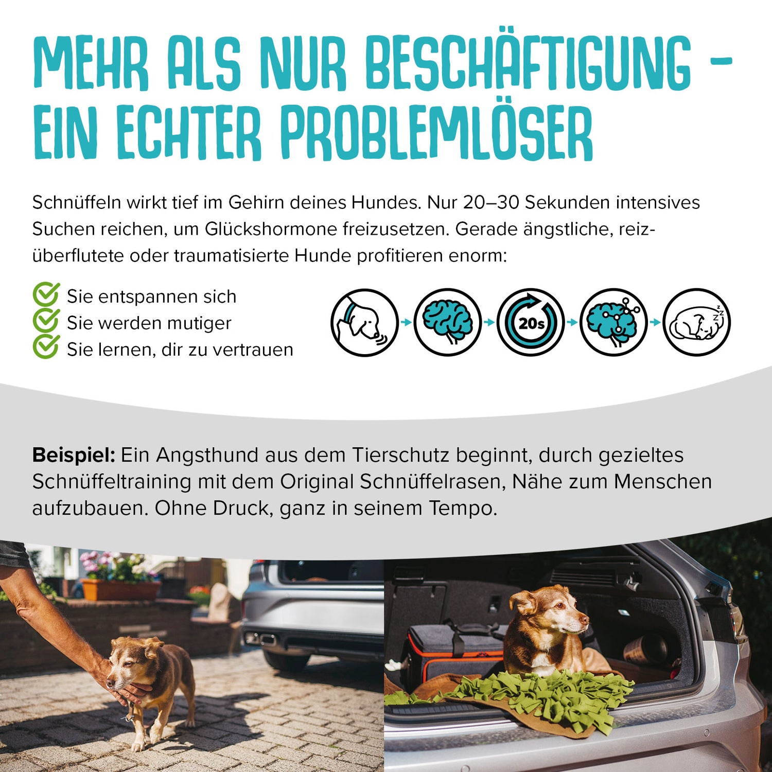 SCHNÜFFELRASEN®