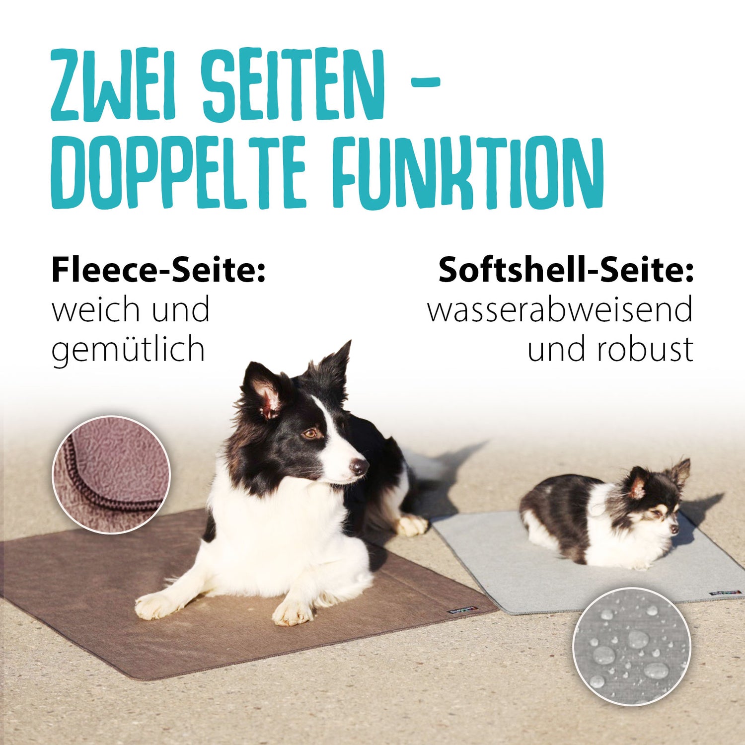Shelly – Dein Softshell-Liegepad für unterwegs