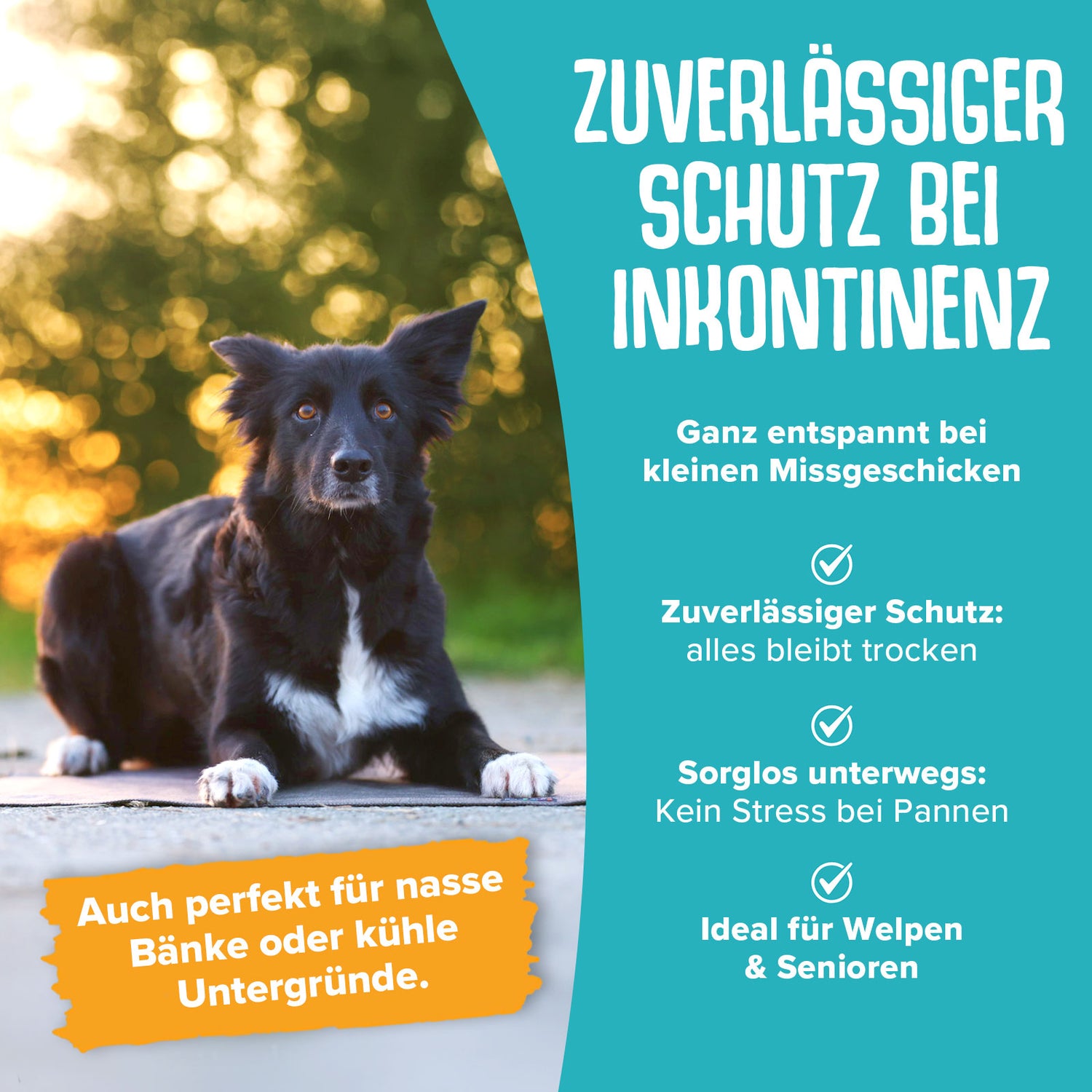 Shelly – Dein Softshell-Liegepad für unterwegs