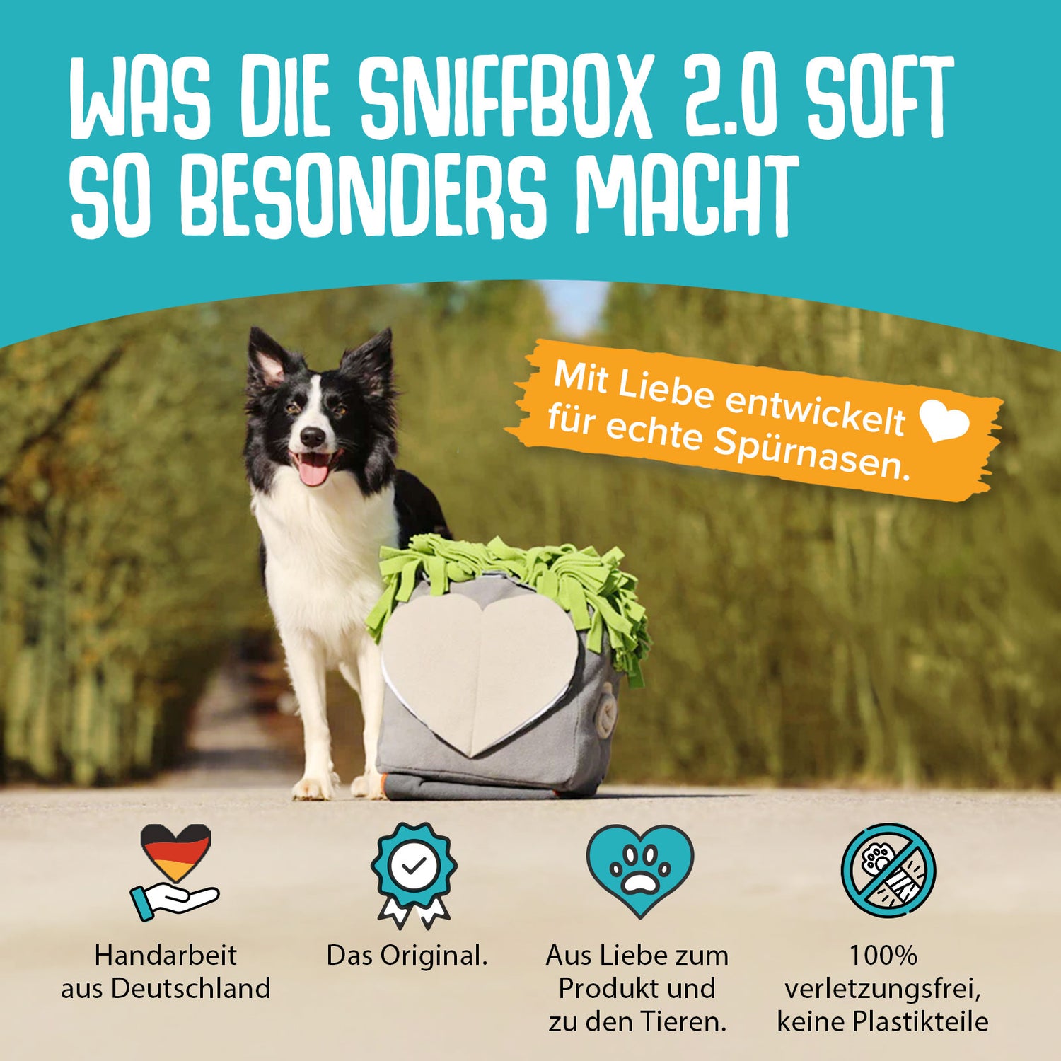 Sniffbox 2.0 Soft